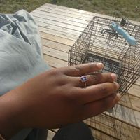 Engagement / Wedding Jewelry Upgrading - 2