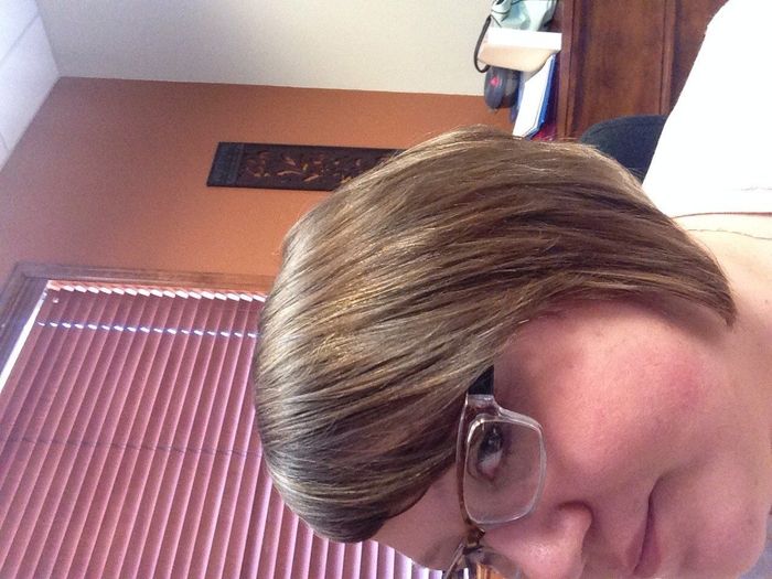 Need opinions on a hairpiece, please!