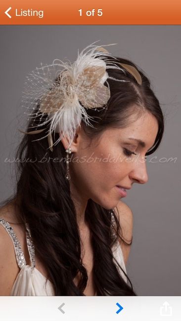 Need opinions on a hairpiece, please!