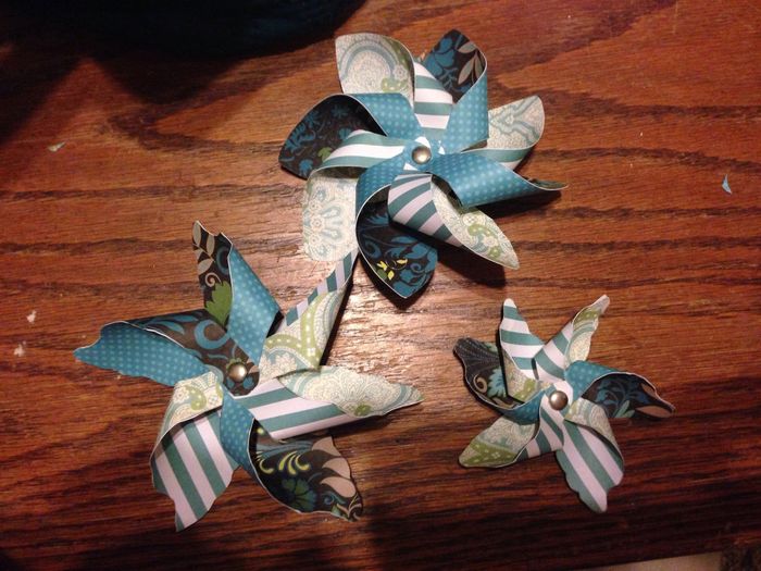 My Pinwheels Arrived Today!