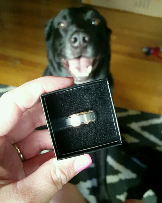 FH wedding band + cute dog pic
