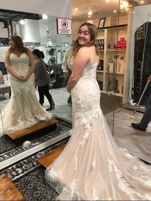 Champagne Vs Blush 1