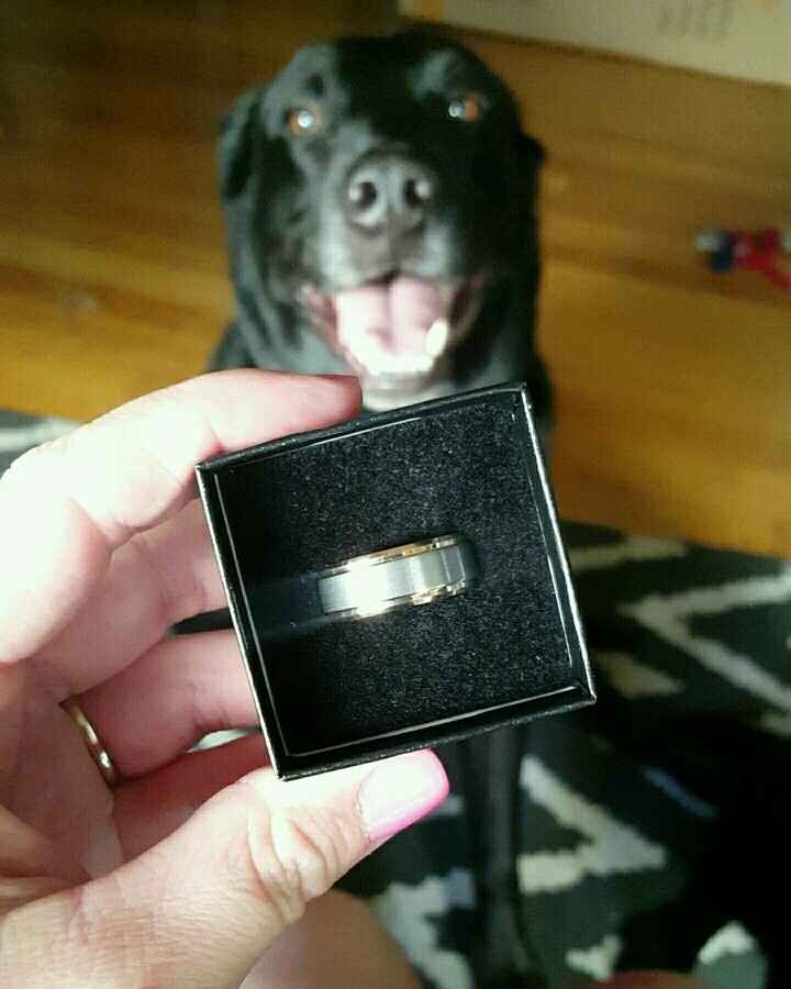 FH wedding band + cute dog pic