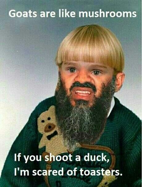 Give me all the memes..
