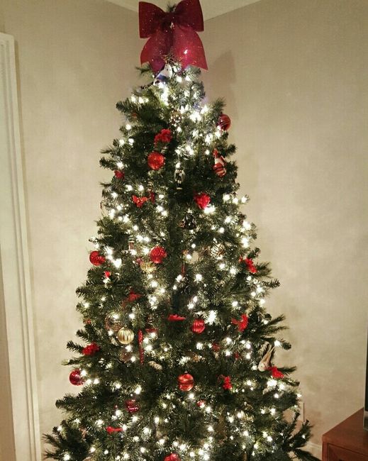 NWR-show me your Xmas trees