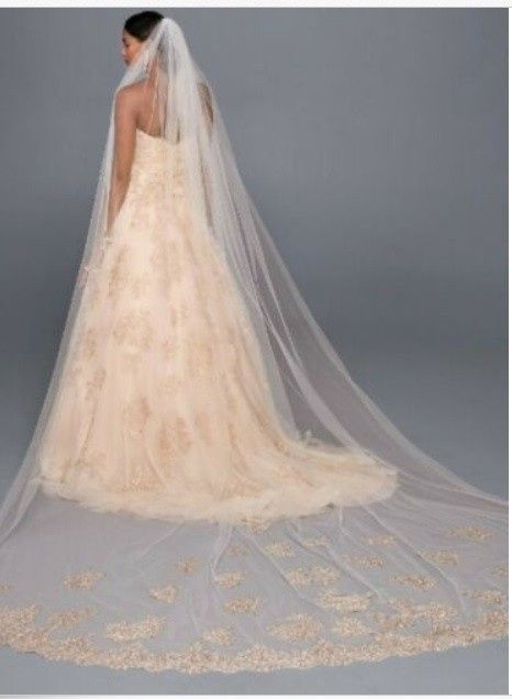 Ivory 1950s veil? Fascinatior/birdcage veil?  Rose Gold Veil with Ivory Dress? please help 6