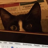 NWR: My pup thinks she's people. She's right. Show me your "people pups!"