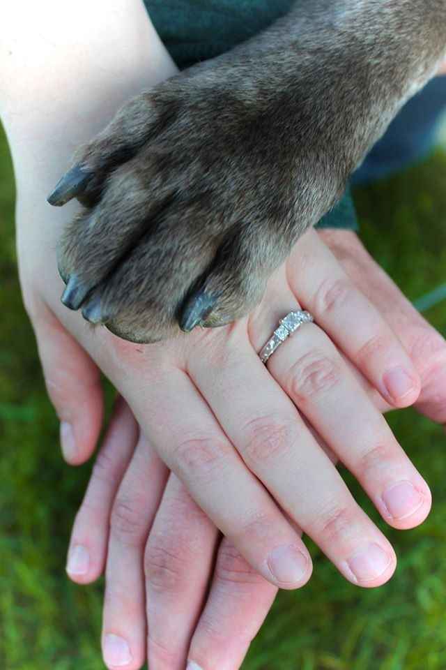 Engagement Photos with Pets: Share Your Tips and Pics!