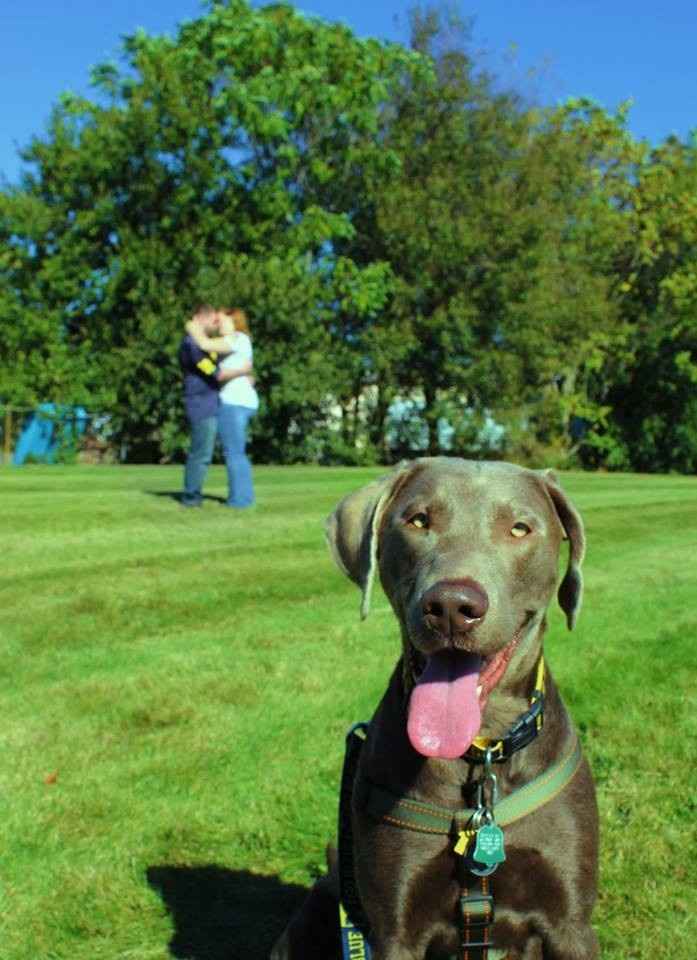 Engagement Photos with Pets: Share Your Tips and Pics!