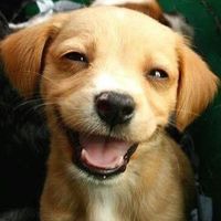 TO ALL BRIDES & NEWLYWEDS: Do you find it true that once your married you lose your "Real" self??