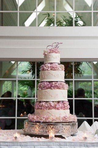 What's your flavor?!  Cake Suggestions...