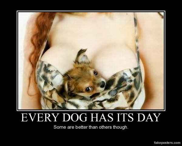 Ladies?