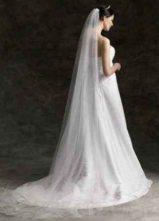 Does this veil match my dress? *Pics*