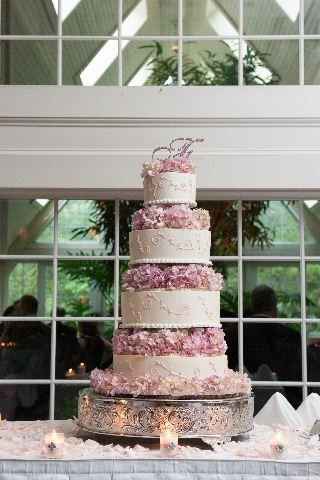 Cake,cake,cake
