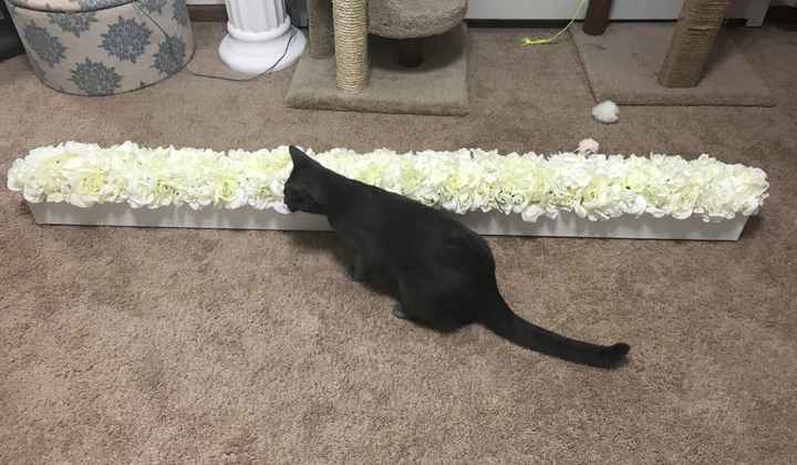 Head table decorations!