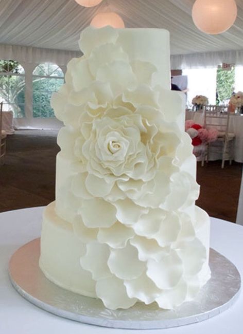 CAKE PREFERENCE! - 1