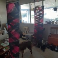 Gothic diy Ideas? - 2