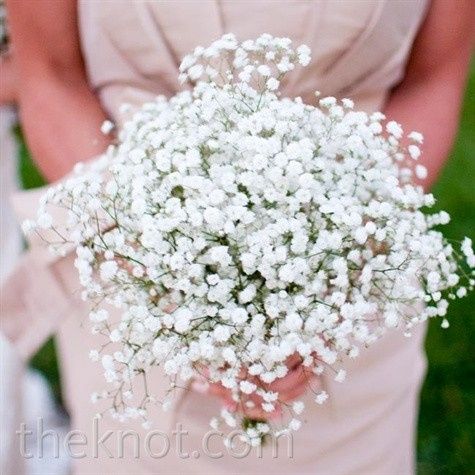 Has anyone used baby's breath only ?