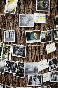 Outdoor Tree Decor