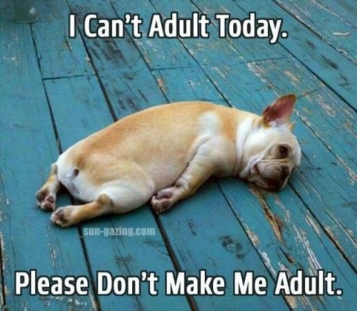 You ever have one of those days...