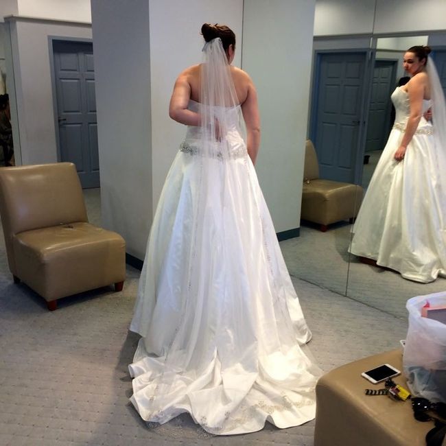 Major veil regret!