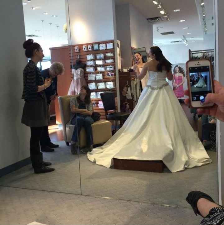 Alfred Angelo Bridal Gowns