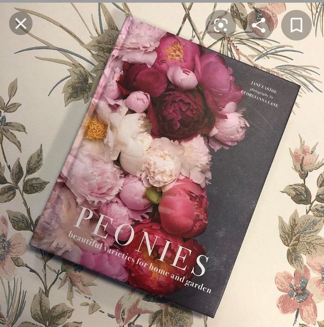 Peonies for our wedding! - 1