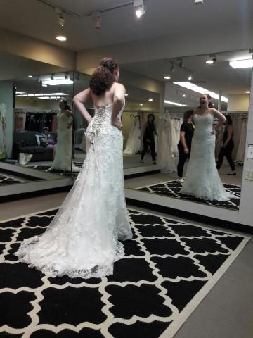 My Dress Came In!!! - Please share yours 😆 - 1