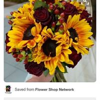 COLOR SCHEME HELP? WHAT ARE YOUR COLORS?