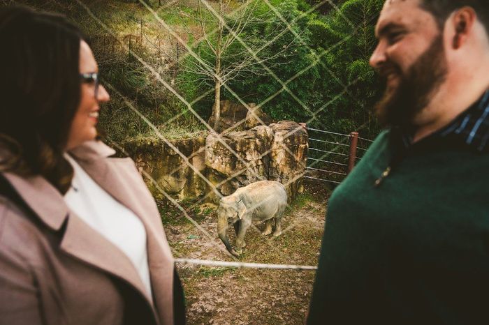 Where are you taking your engagement pictures? 1