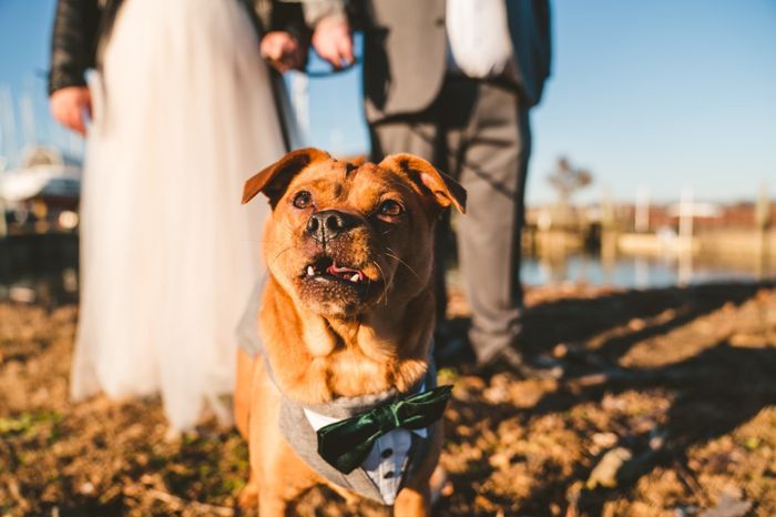 Bear- he walked me down the aisle! 