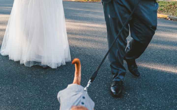 December 2019 Brides, Let's chat......❤ - 1