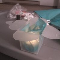 One of my center pieces. Opinions please. update