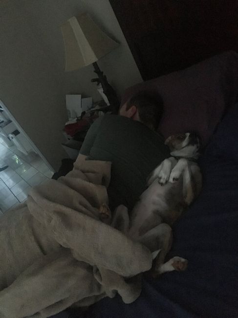 Show me your fiance and pet - 2