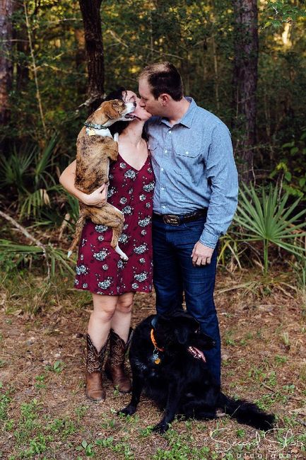 Engagement pics with pet 1