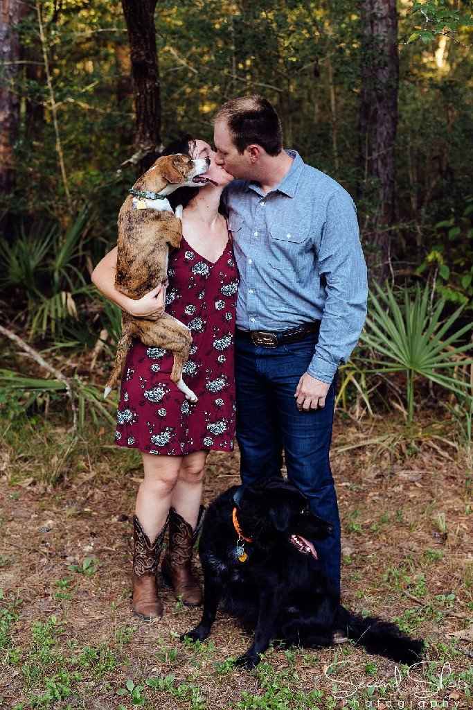 Engagement pics with pet - 1