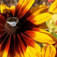 Let's see the bling!