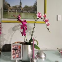 DIY Centerpieces...need opinions!