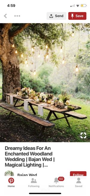 Picnic Reception - 1