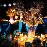 Manzanita Tree Centerpiece?