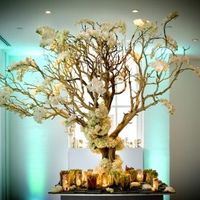 Manzanita Tree Centerpiece?