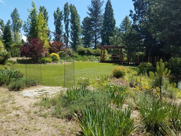 Which site for the ceremony? 2