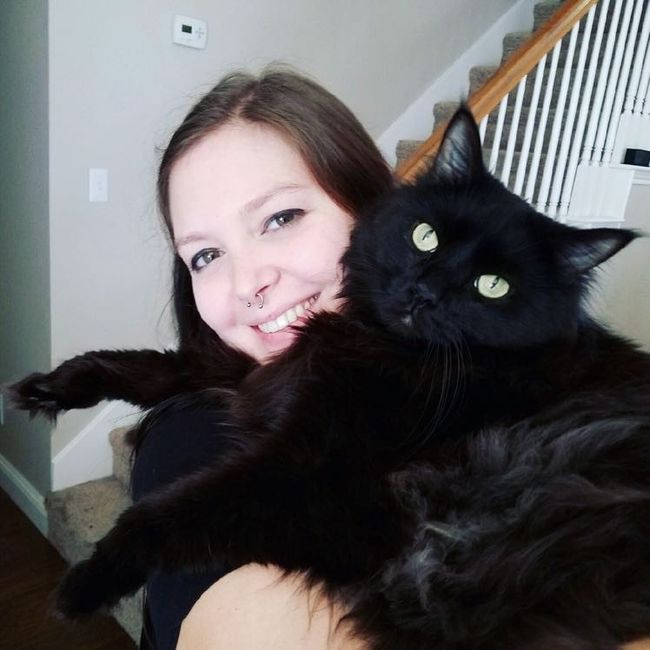 Let me see those fur babies!