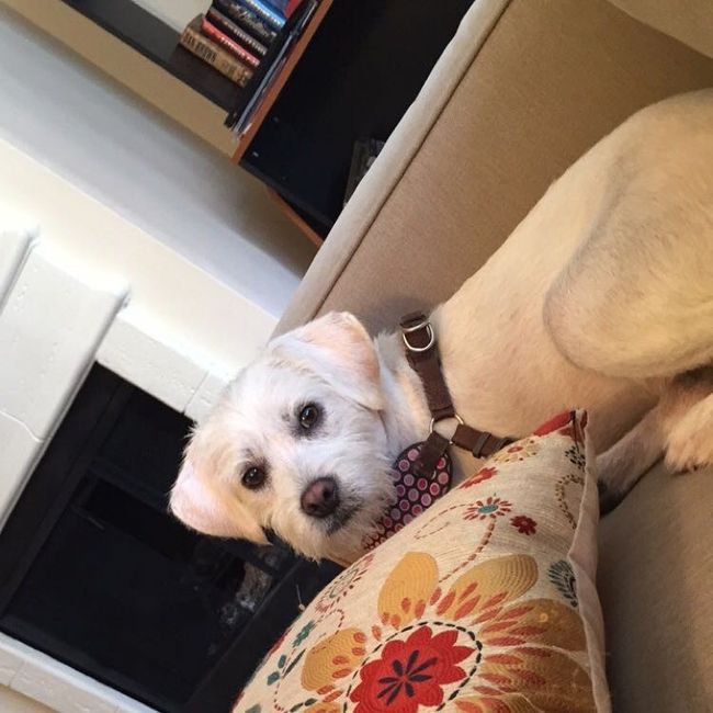 NWR- pets! We love them show me yours :)