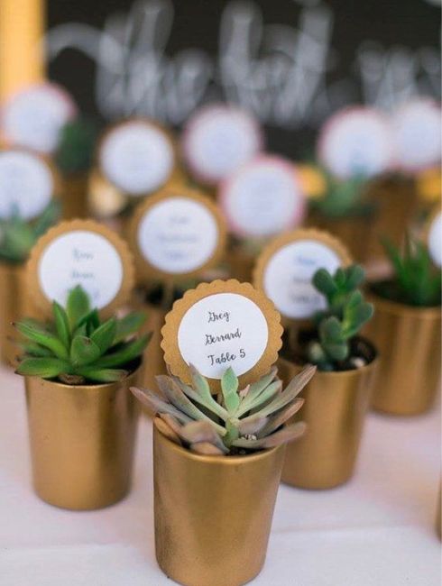 Good place to buy succulents and cute pots for favors/name places? - 1