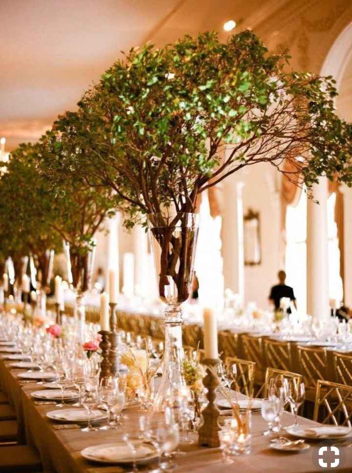 Where can i buy fresh Manzanita branches in Seattle/leavenworth? - 1