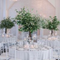 Where can i buy fresh Manzanita branches in Seattle/leavenworth? - 2