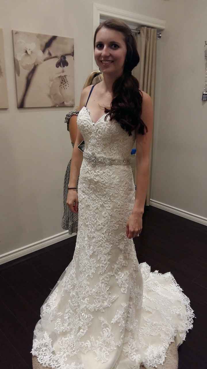 Torn Between Two Dresses