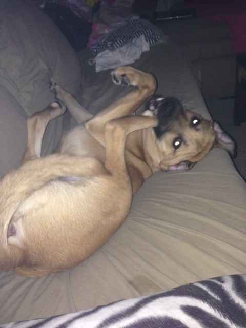 NWR- Furbaby Friday