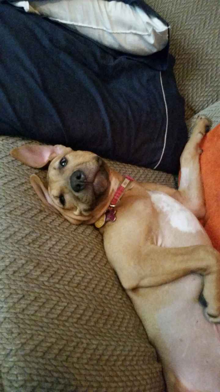 NWR- Furbaby Friday